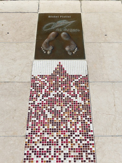 布朗尼将肩