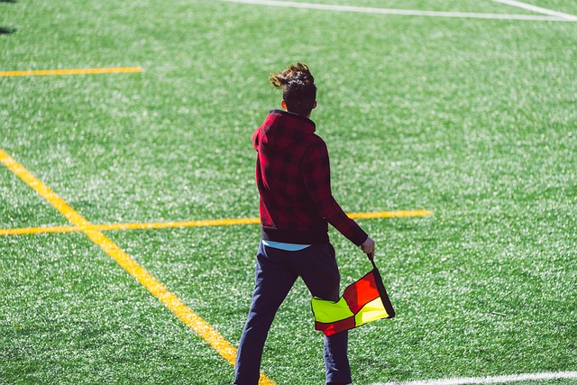 书写新的篇 书写新的篇